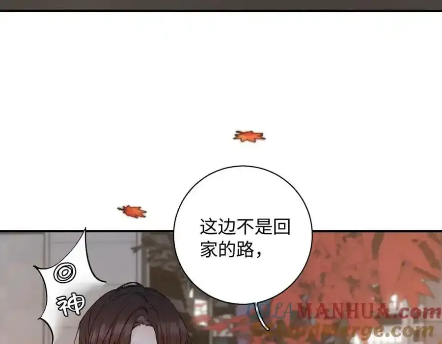谢青线08 所以就不要喜欢了36