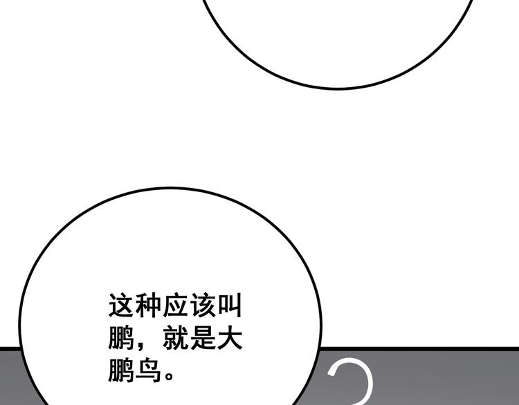 第50话 雕兄106