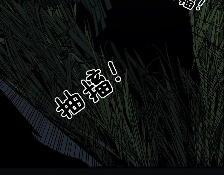第244话 熊王115