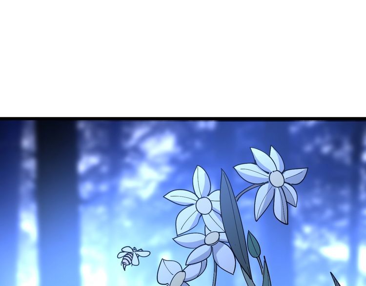 第87话 非洲大鹦鹉4