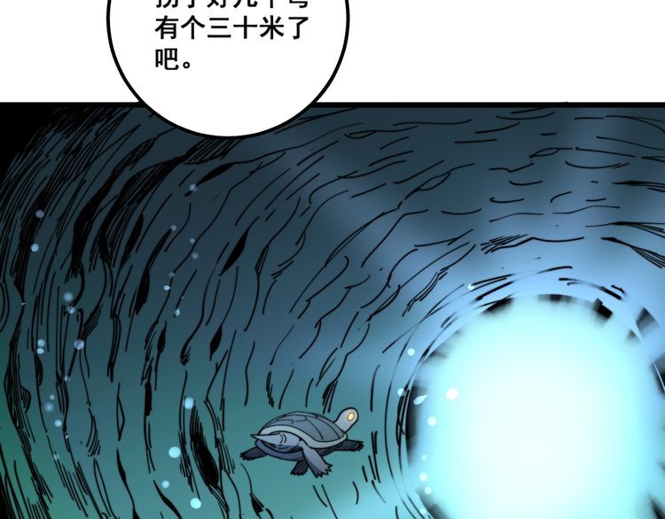 第127话 巴西小乌龟87
