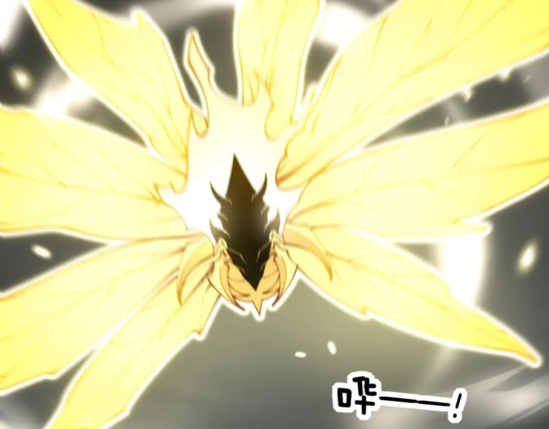 第420话 底牌17