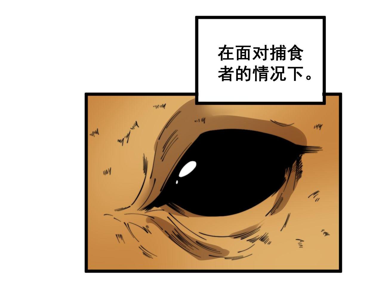 第283话 百年巫门9
