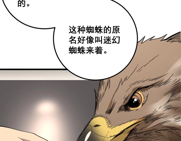 第51话 幻影蜘蛛12