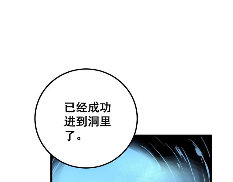 第127话 巴西小乌龟75