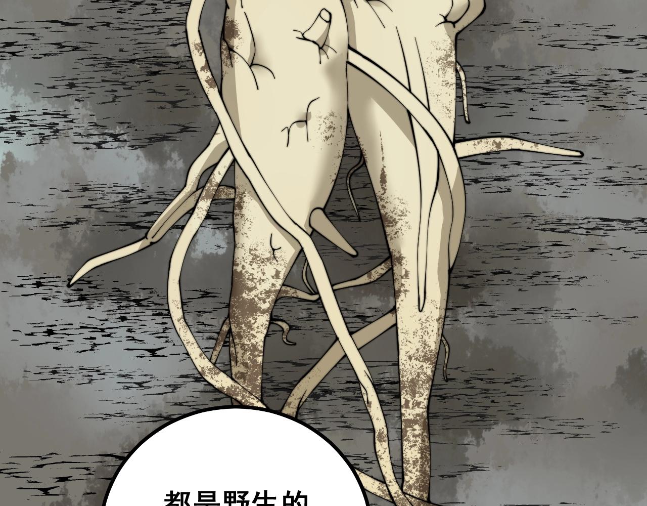 第335话 子母参76
