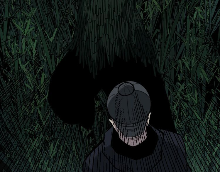 第244话 熊王45