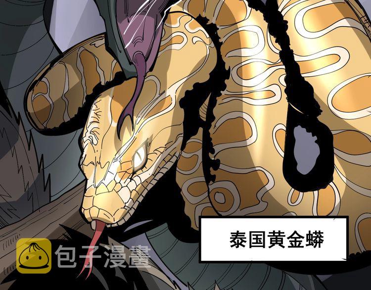 第91话 准备工作复杂点！99
