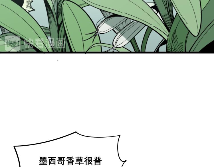 第154话 神秘香草34