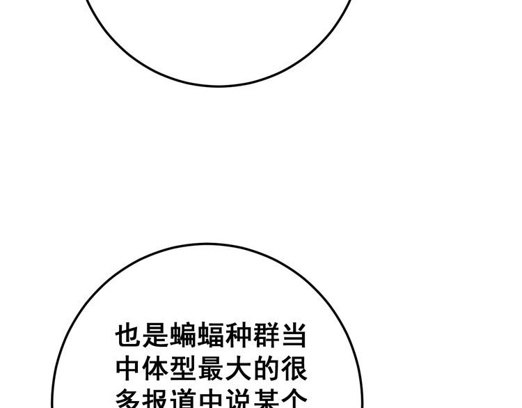 第121话 效忠我博卡115