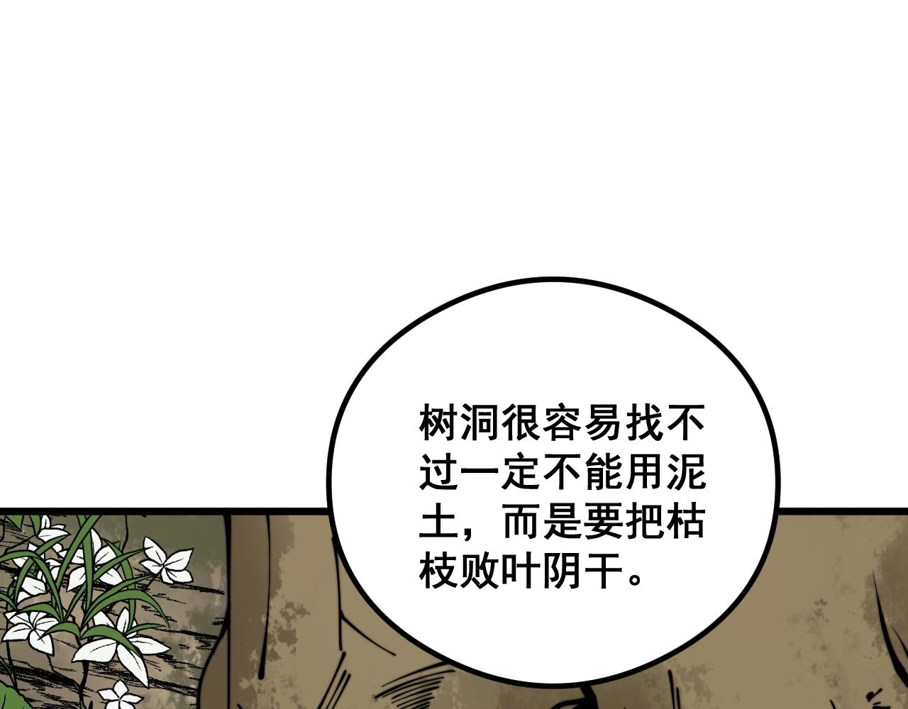 第335话 子母参100
