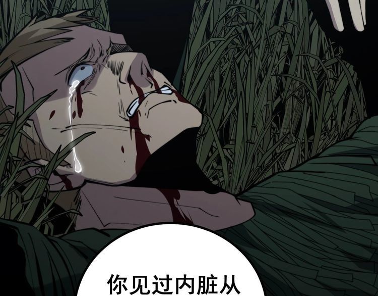 第244话 熊王61
