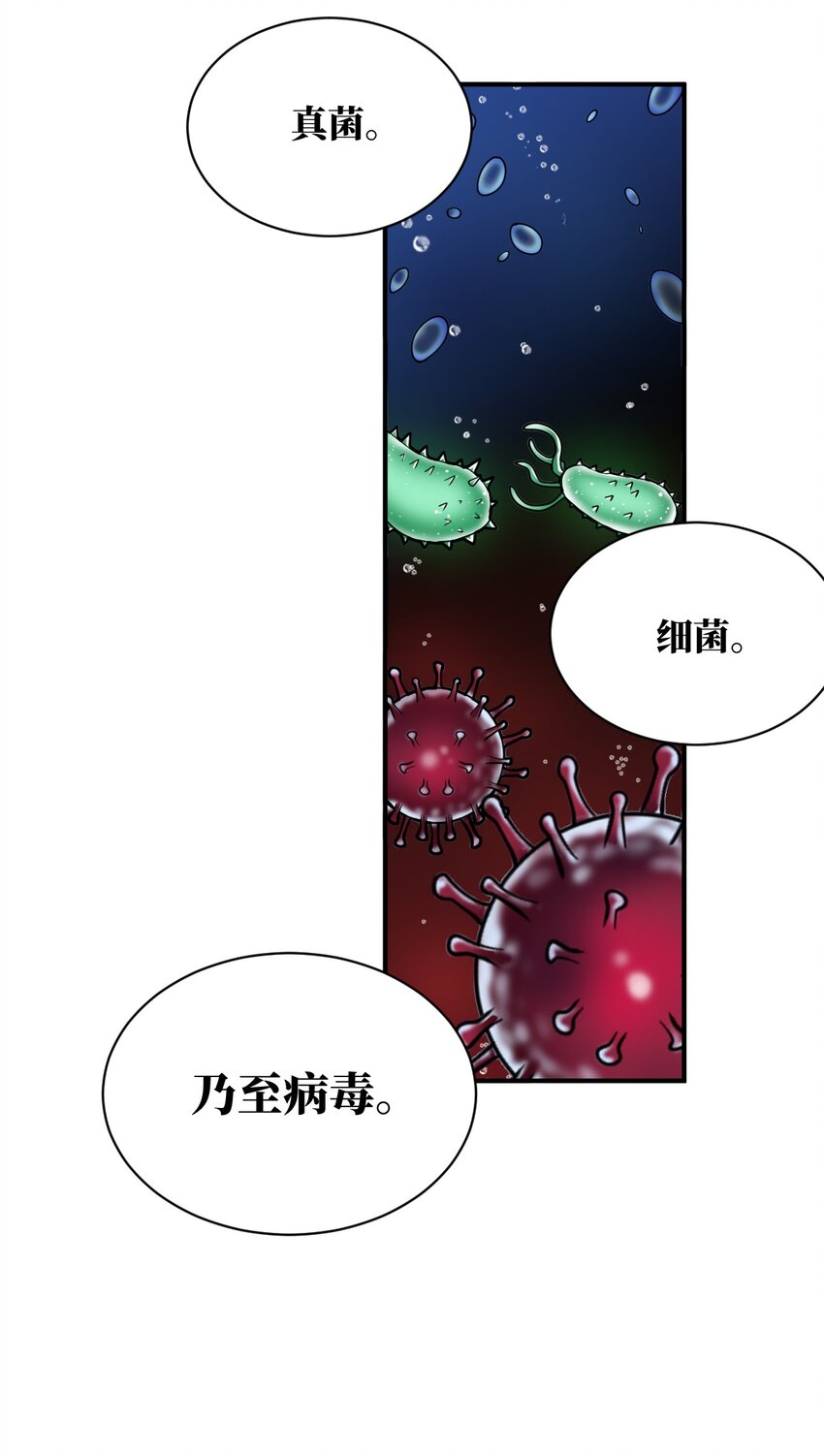 039 花已陨落，王道升腾14