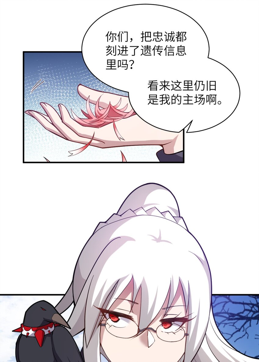 039 花已陨落，王道升腾20