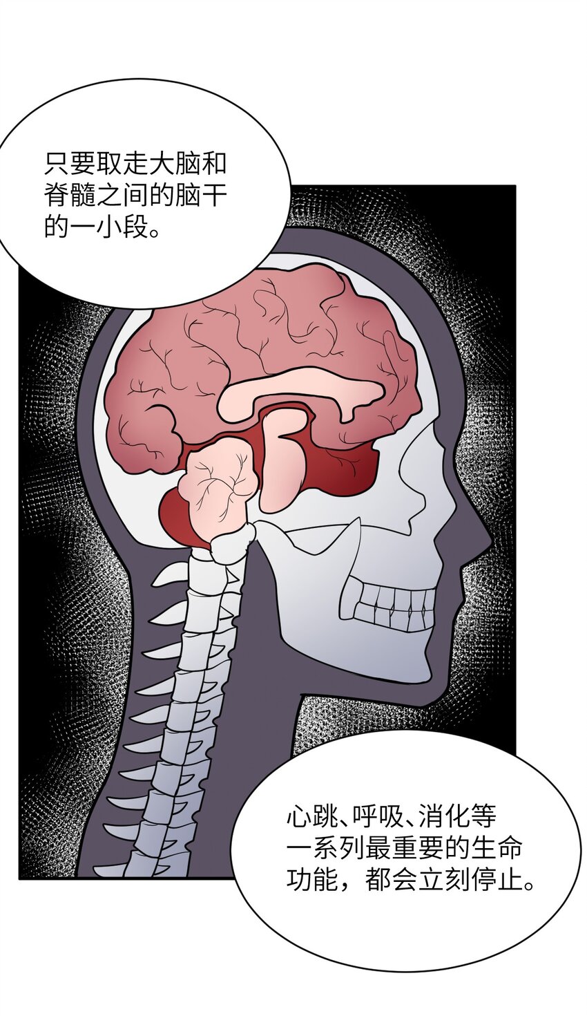 048 最高效的战争方法18