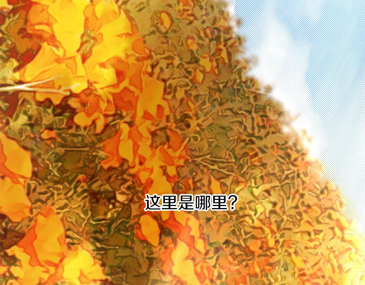 第29话 四年后71