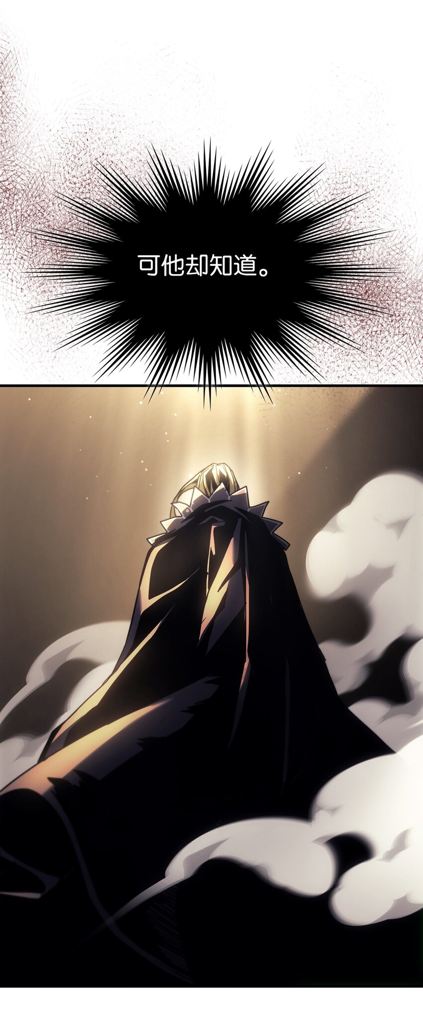 205 20516