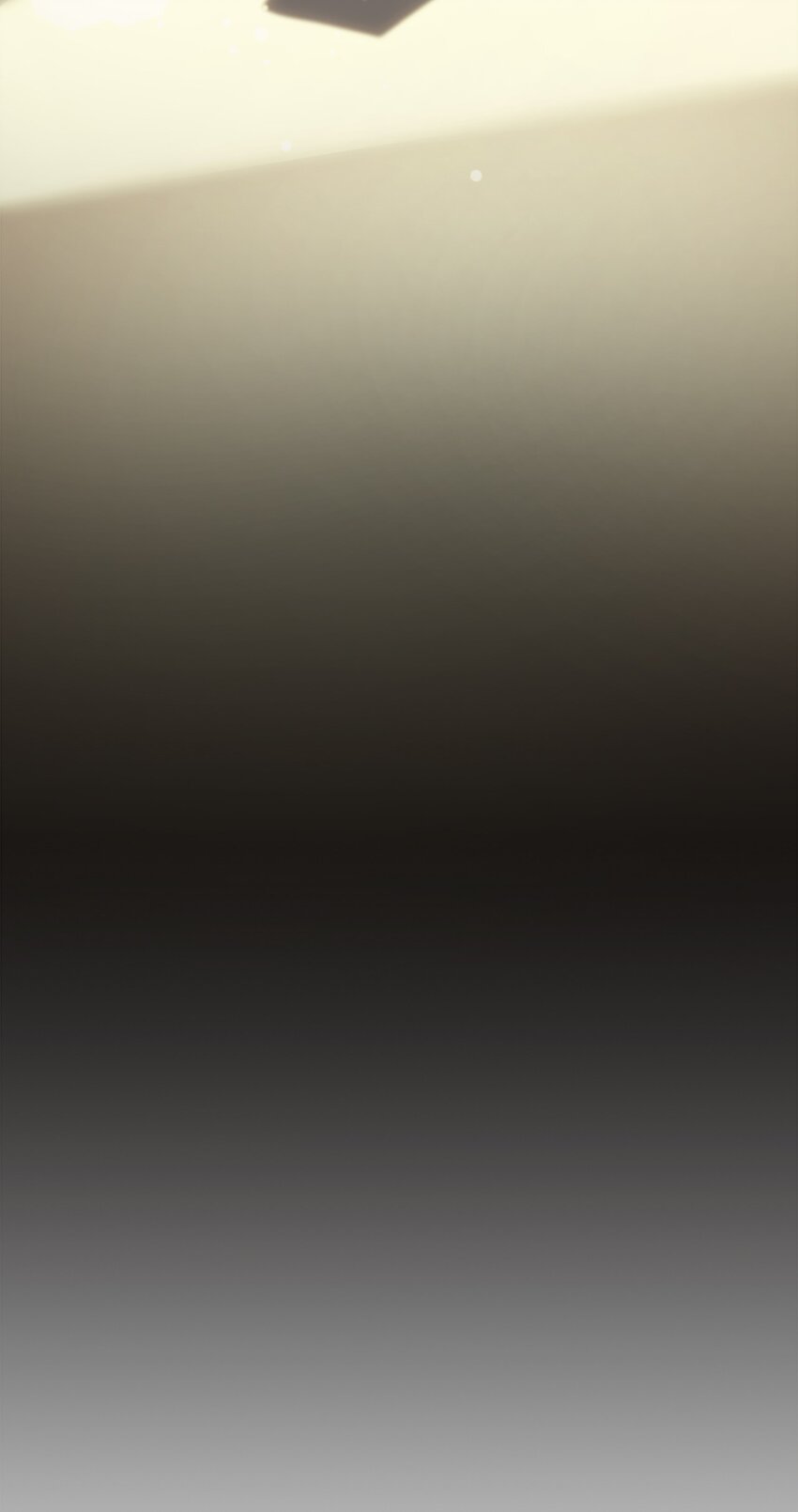 206 20667