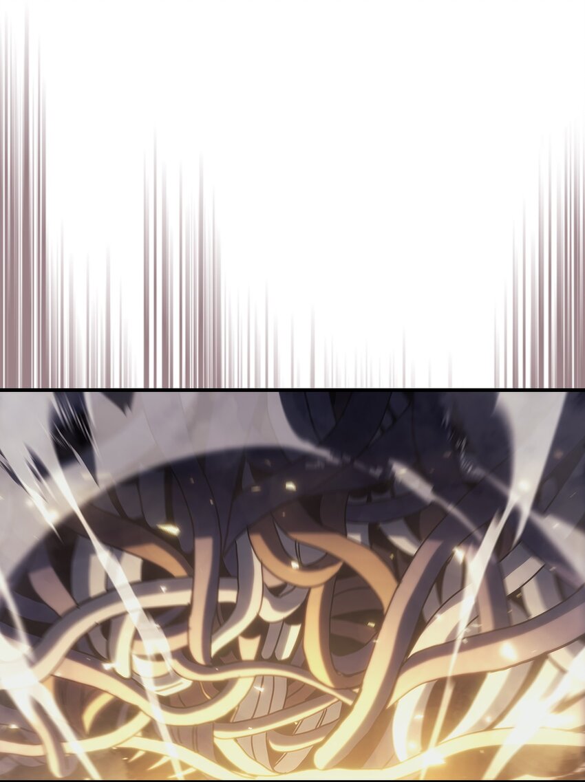 203 20316