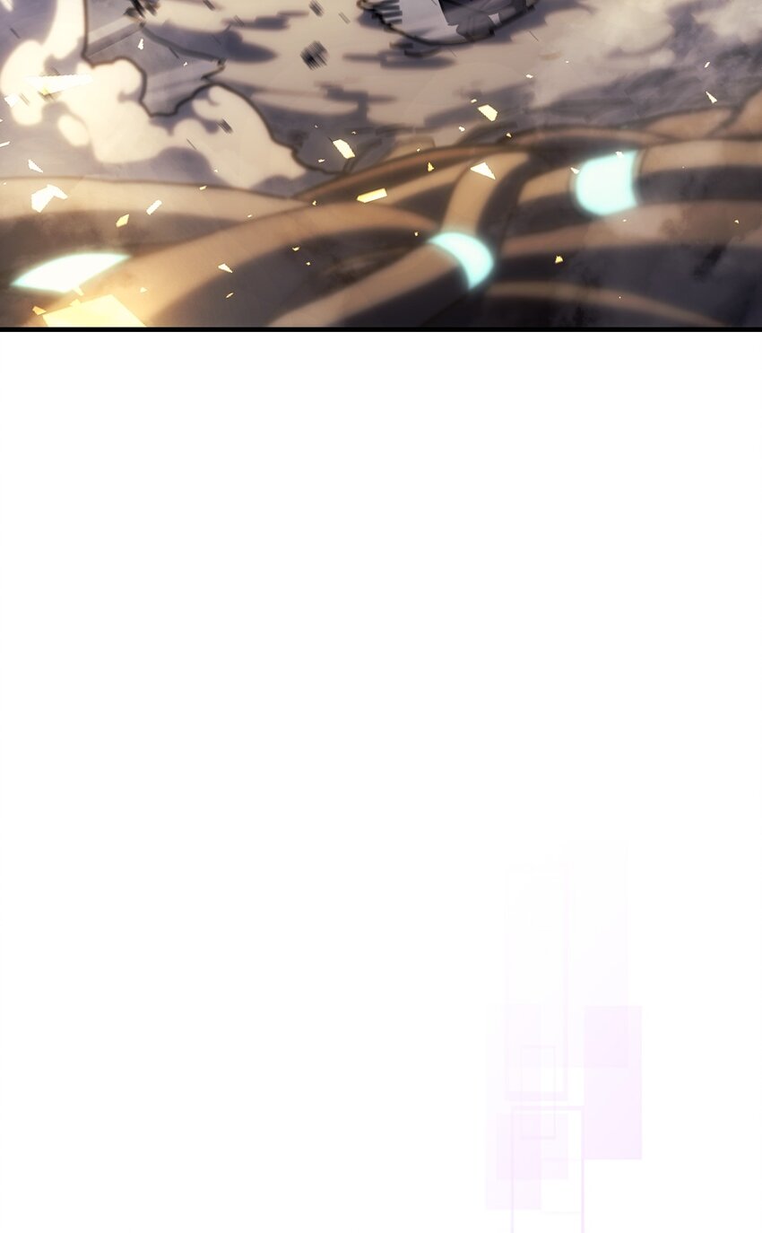 205 20561