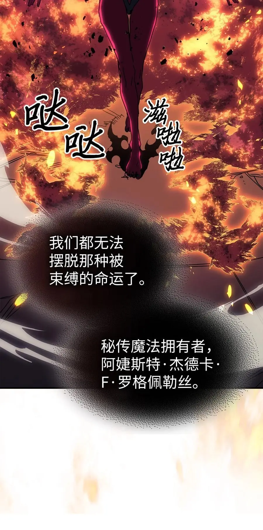 241 24116