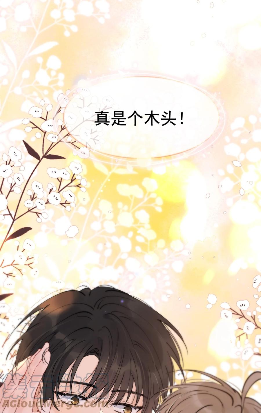 048 真是个木头！15