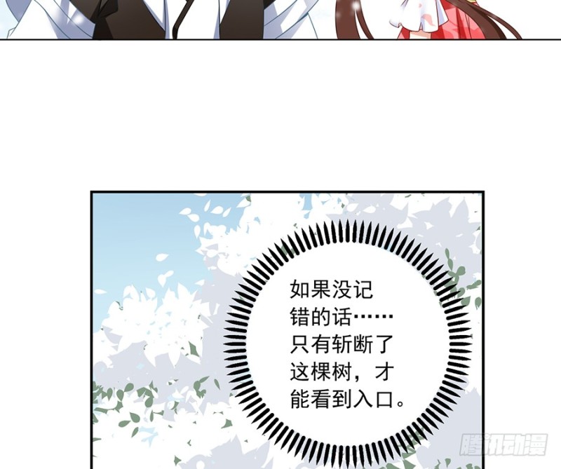 95.高阶幻境4