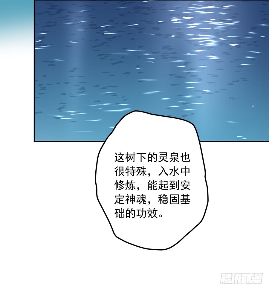 第29话 合欢果树28