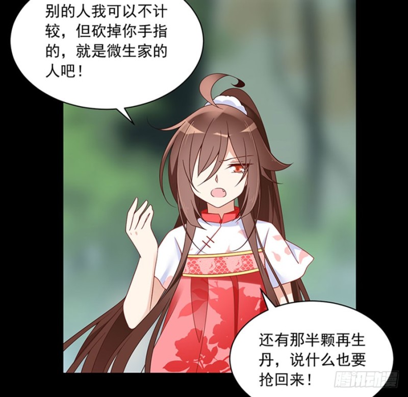 117.复仇吧，少年！29