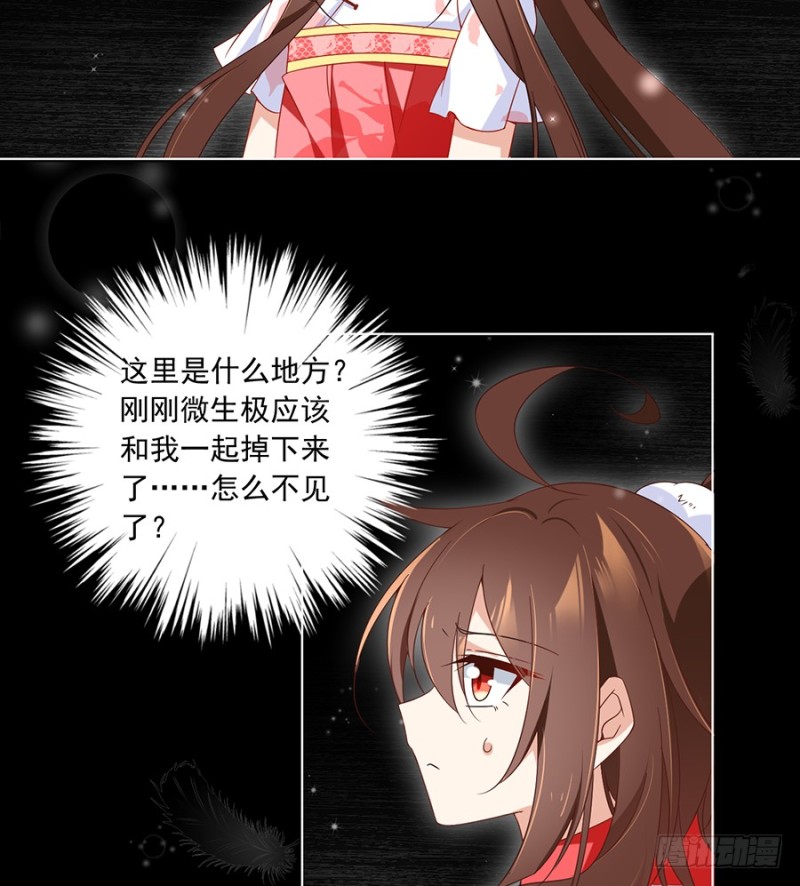 95.高阶幻境19