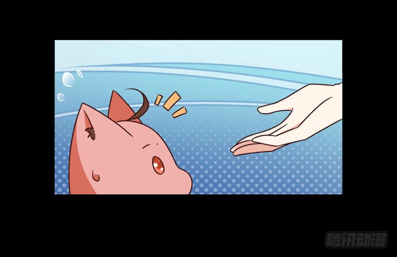 第48话 背锅的同心蚌4