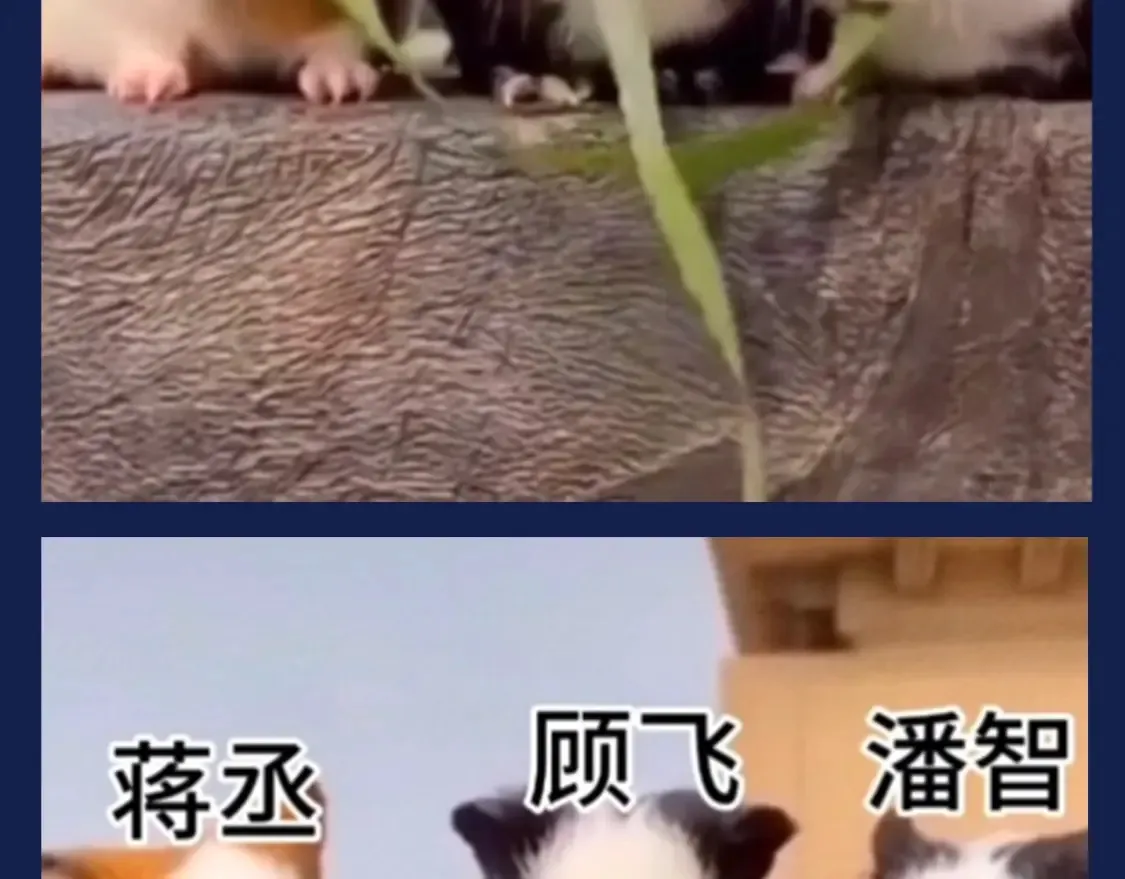 第40期 搞点事：假如动物塑潘智、蒋丞、顾飞3