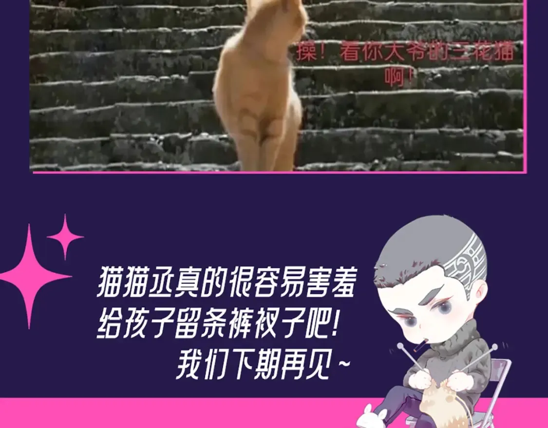 第6期 整活企划：来自“不是好鸟”的围观19