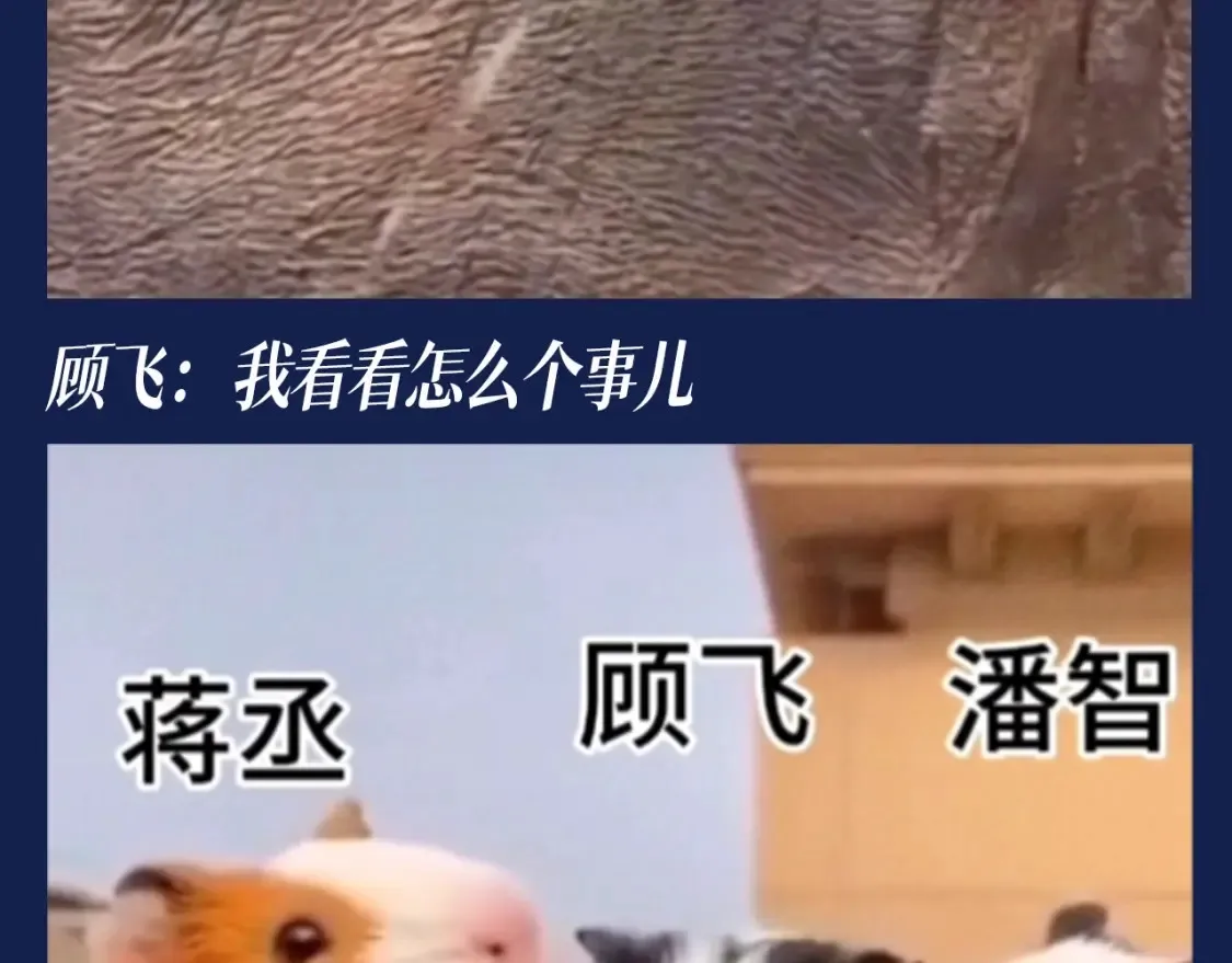 第40期 搞点事：假如动物塑潘智、蒋丞、顾飞6