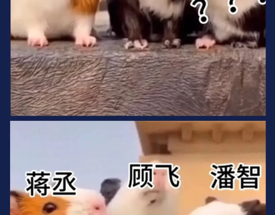 第40期 搞点事：假如动物塑潘智、蒋丞、顾飞10