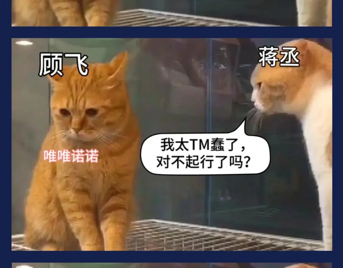 第8期 搞点事：兔飞飞的家庭弟位是这样的！5