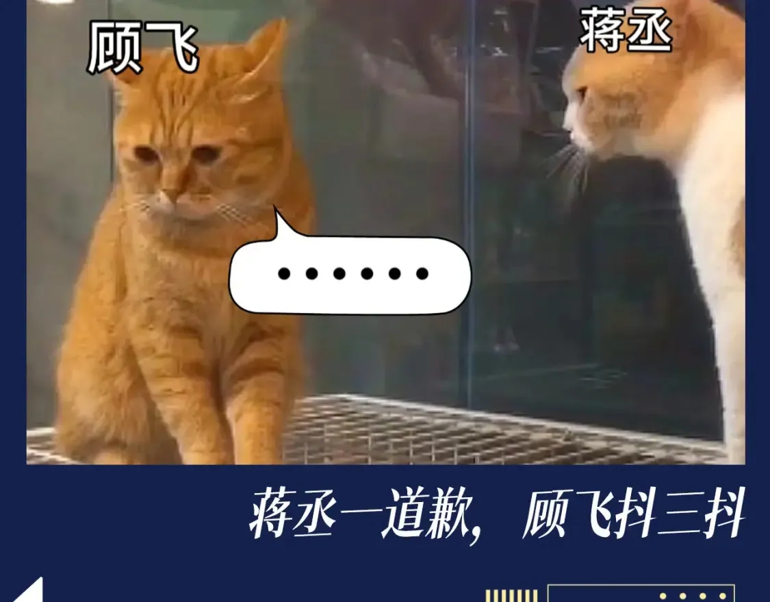 第8期 搞点事：兔飞飞的家庭弟位是这样的！6