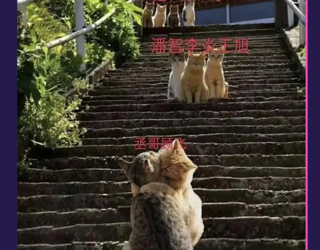 第6期 整活企划：来自“不是好鸟”的围观17