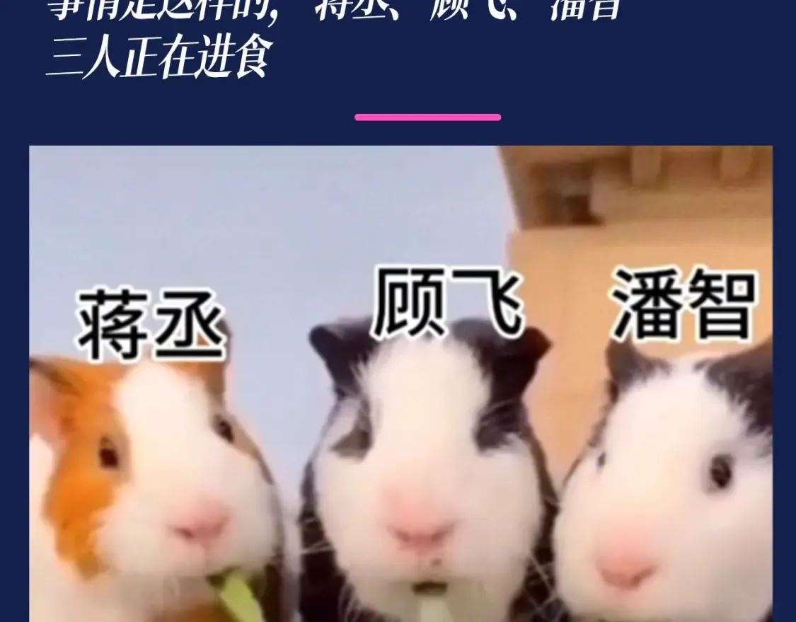 第40期 搞点事：假如动物塑潘智、蒋丞、顾飞2