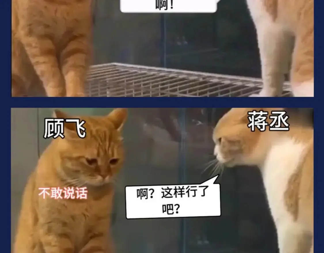 第8期 搞点事：兔飞飞的家庭弟位是这样的！4