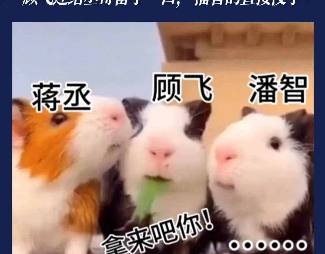 第40期 搞点事：假如动物塑潘智、蒋丞、顾飞12