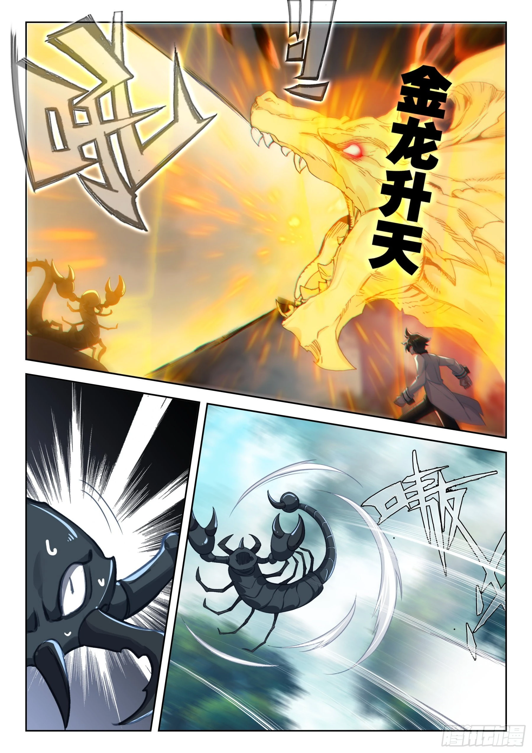 赤尾蝎13