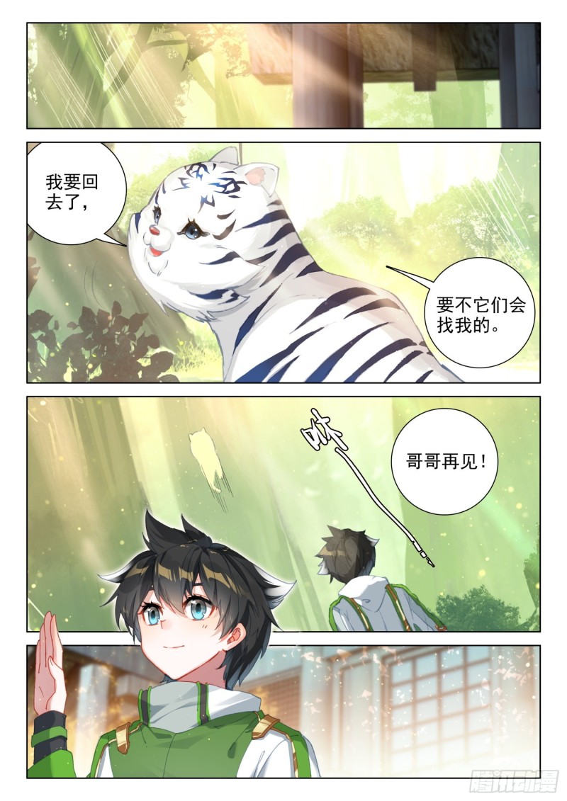 虎王蓝蝴蝶14