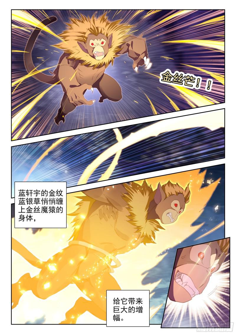 千年紫芝13
