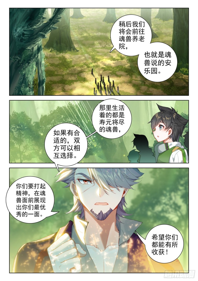 虎王蓝蝴蝶15