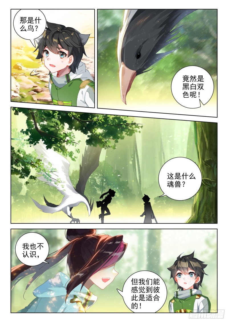 全班选魂灵12