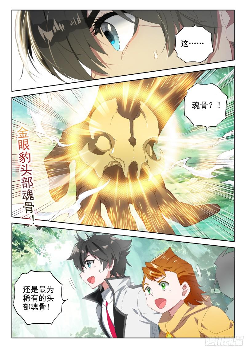 金眼豹头部魂骨16