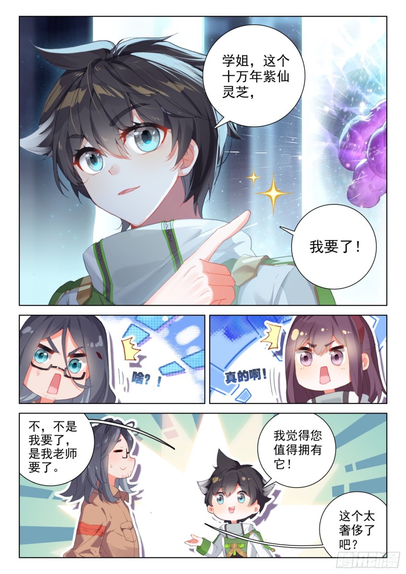 十万年紫仙灵芝3