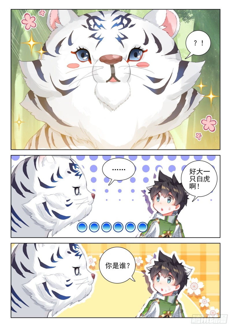 胜利8
