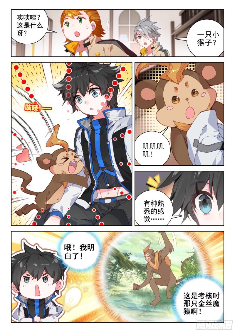 金色小猴15